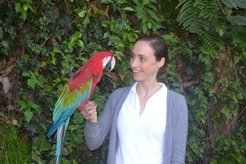 Auguste von Bayern mit einem Ara in der Zuchtstation der Loro Parque Stiftung.