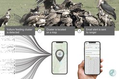 MoveApps