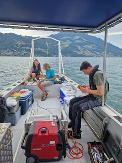 Sampling in front of the picturesque mountain panorama of Lake Zug.