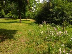Come here for some virtual fresh air and your virtual cigarette. Watch out for the bees!